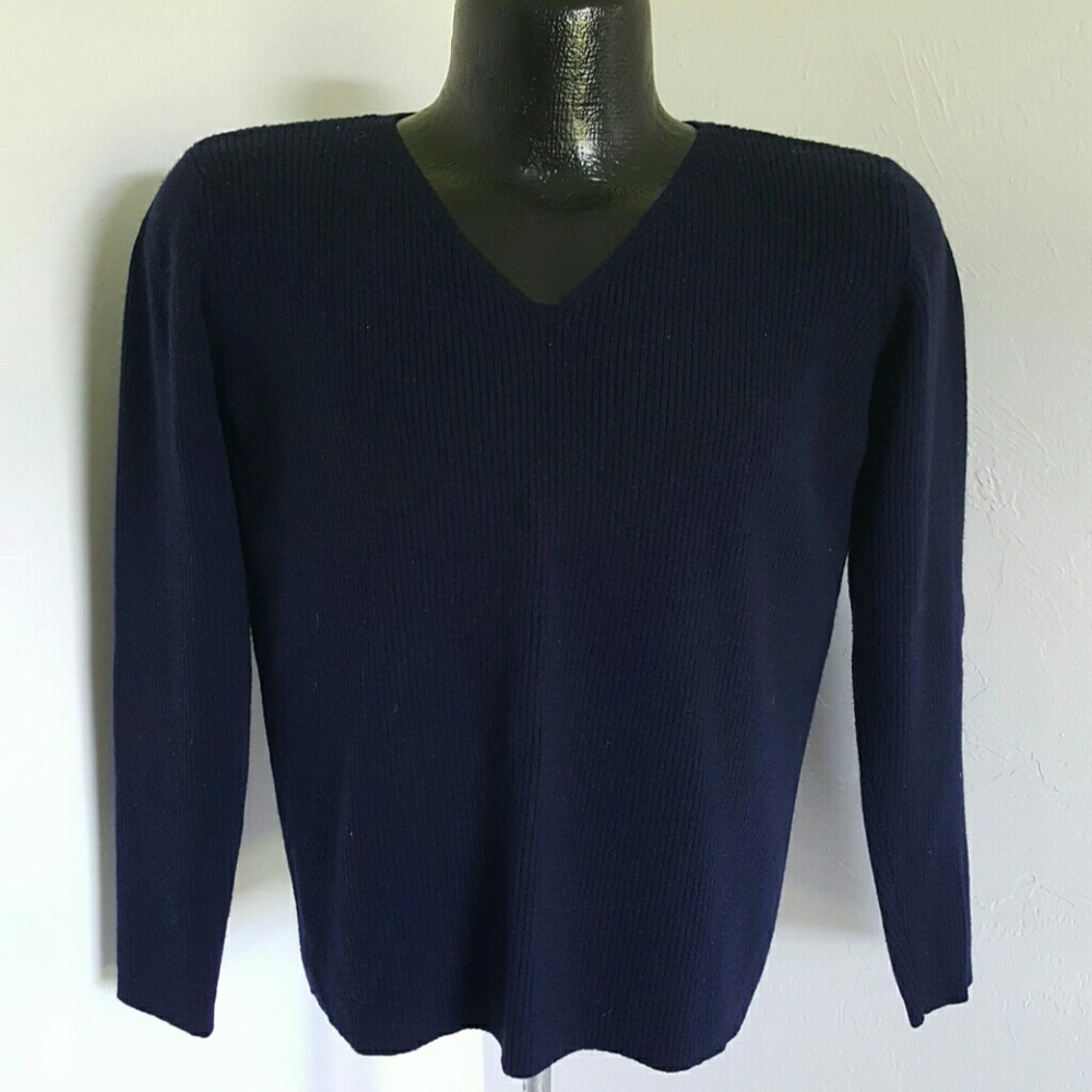 Eileen Fisher women sweater blue wool v-neck knit size L